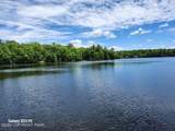 6115 Lakeshore Drive - Photo 57