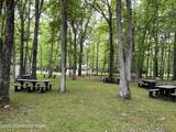 161 Piney Woods Drive - Photo 32