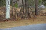 726 Pinecrest Drive - Photo 44