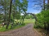 5822 Paradise Valley Road - Photo 45