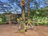 5822 Paradise Valley Road - Photo 76