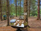 5822 Paradise Valley Road - Photo 78