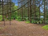 5822 Paradise Valley Road - Photo 81