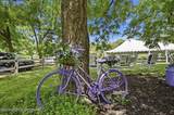 5822 Paradise Valley Road - Photo 92