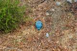  Seneca Road - Photo 16