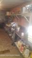 330 Centre Street - Photo 6