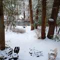 3530 Spruce Cabin Road - Photo 2