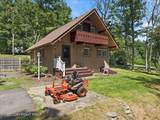 111 Mountain Springs Road - Photo 51