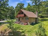 111 Mountain Springs Road - Photo 52