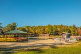 119 Lake Drive - Photo 115