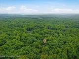2569 Birch Hollow Drive - Photo 11