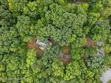 2569 Birch Hollow Drive - Photo 8