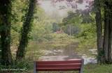 3910 Route 447 - Photo 7