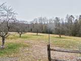 1424 Twin Pine Road - Photo 32