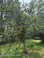 305 Papoose Drive - Photo 24