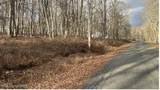 Lot 288 Doe Loop - Photo 3