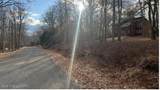 Lot 288 Doe Loop - Photo 4