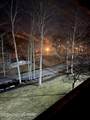 316 Hollow Road - Photo 38