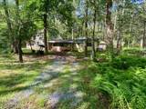 20 Yellow Feather Path - Photo 1