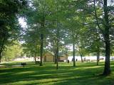 291 White Pine Drive - Photo 69