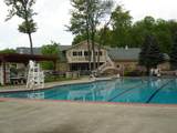 19 Louis Lane - Photo 43