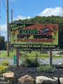 1091 Clover Road - Photo 86