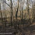 Lot 119 Mountain Rd - Photo 10