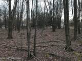  Lot 119 Mountain Rd - Photo 8