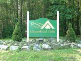 270 Trout Creek Drive - Photo 100