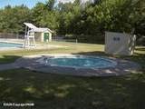 407 Pine Tree - Photo 13