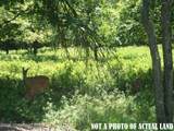 CP1082 Meckesville Road - Photo 1