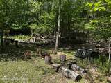 255 Buck Fever Trail - Photo 20