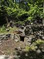 255 Buck Fever Trail - Photo 21
