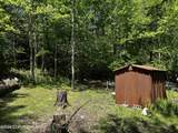 255 Buck Fever Trail - Photo 26