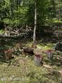 255 Buck Fever Trail - Photo 7