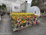 5920 Route 209 - Photo 9