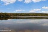37 Tamarack Trail - Photo 36