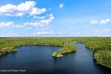 1413 Pine Cone Road - Photo 44