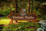 1111 Bear Track Trail - Photo 36