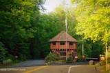 1111 Bear Track Trail - Photo 37