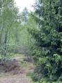 4111 Old Creek Path - Photo 18