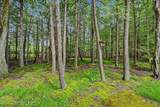 112 Thomas Lane - Photo 48