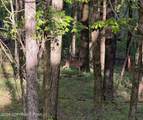 1673 Laurel Run Road - Photo 24