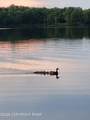 43 Big Bass Drive - Photo 44