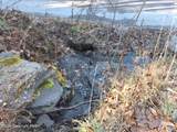 45 Grocery Hill Road - Photo 45