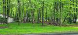 916 Old Stage Road - Photo 3