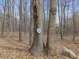  Oak Leaf Ln 25 - Photo 1