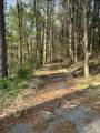 2320 Paradise Trail - Photo 41