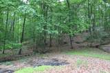 55 Arbutus Lane - Photo 45