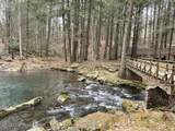 642 Tulip Tree Lane - Photo 5